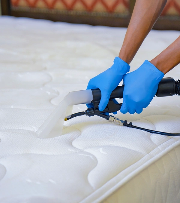 Mattress Cleaning