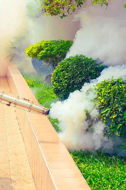 Pest Control service in Dubai by Delight IFM